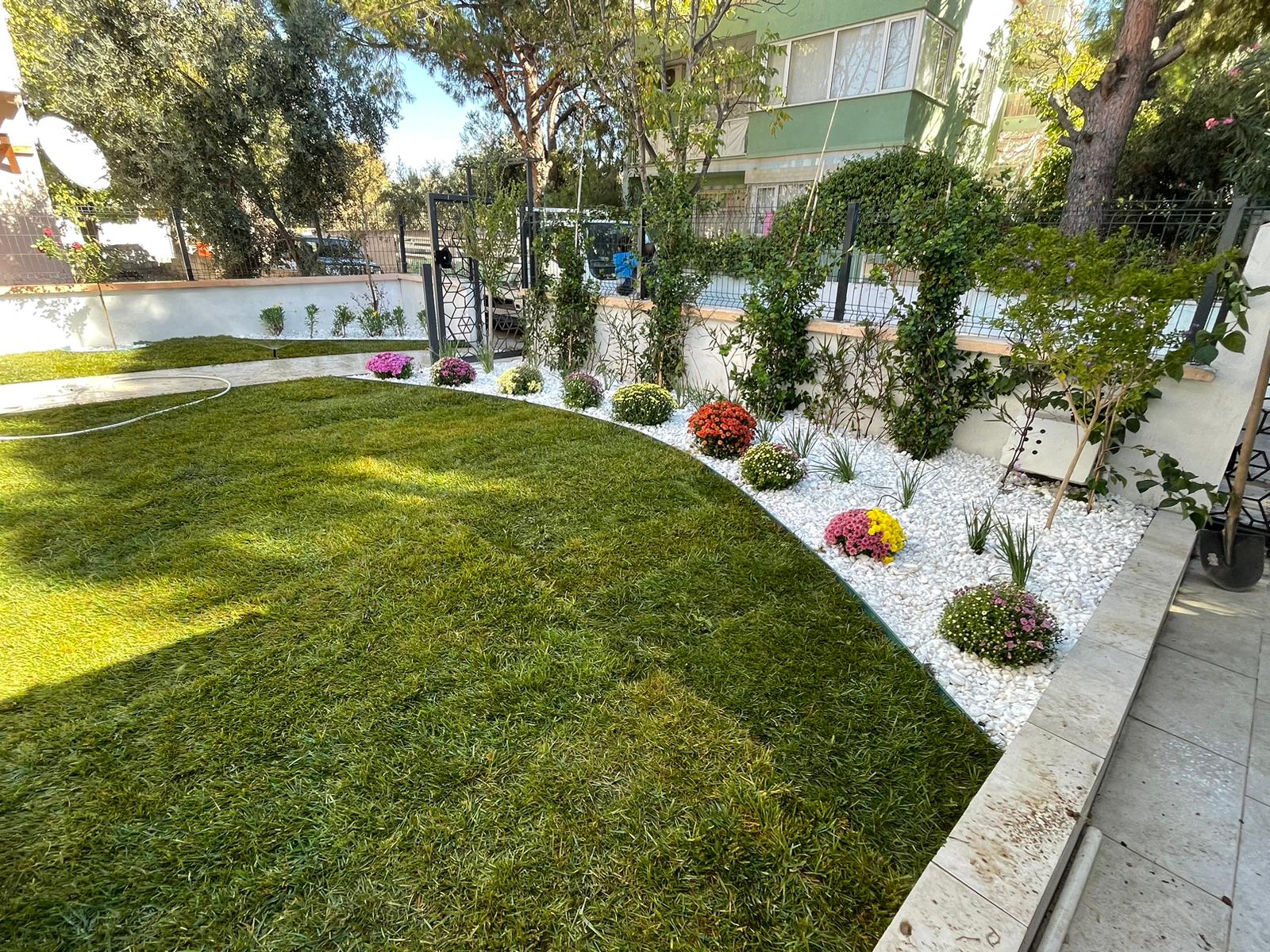 Behramkale Peyzaj - Çim 