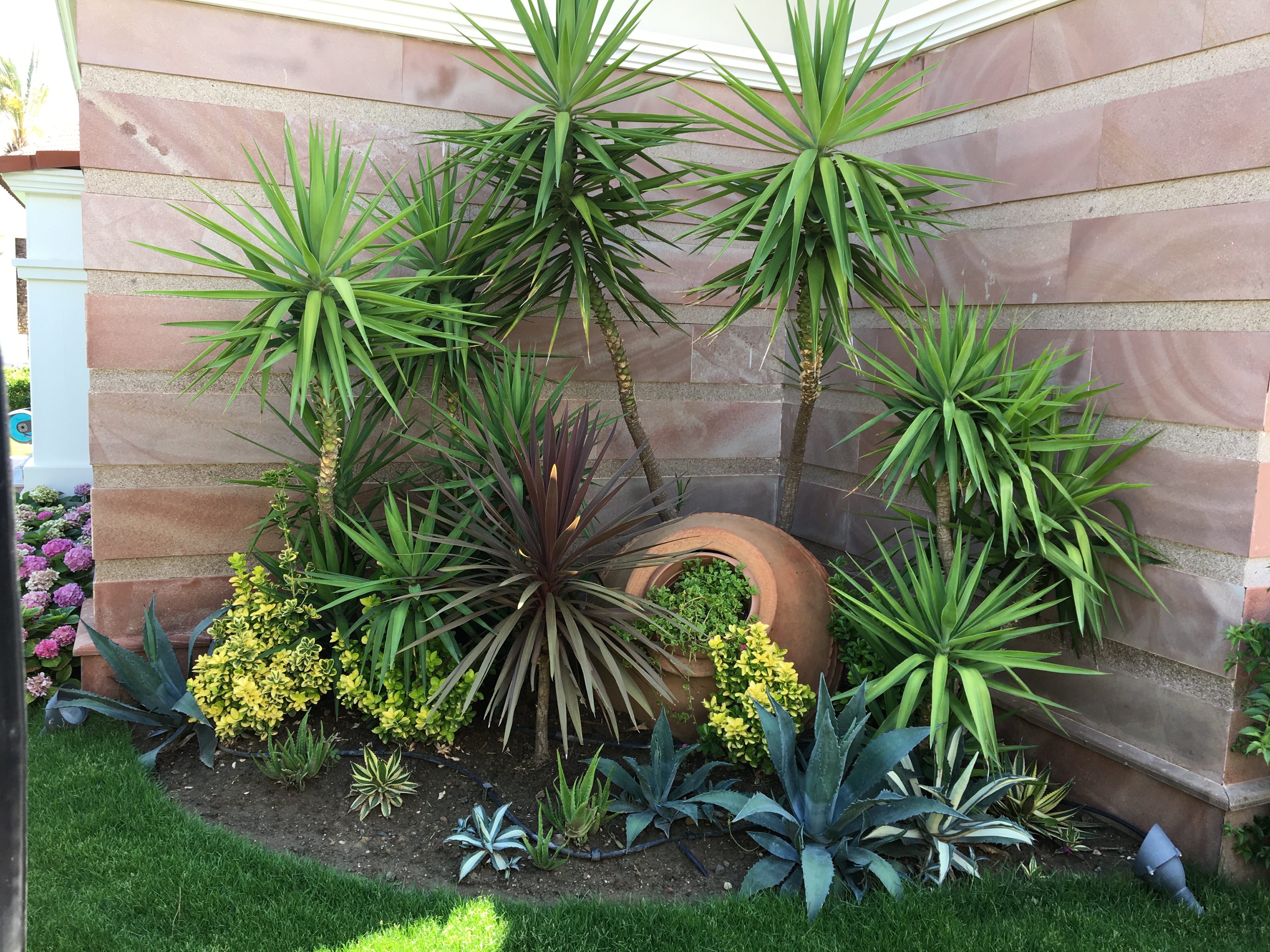 Bahçe Bitkilendirme